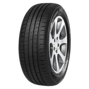 215/65/R16 MINERVA F209